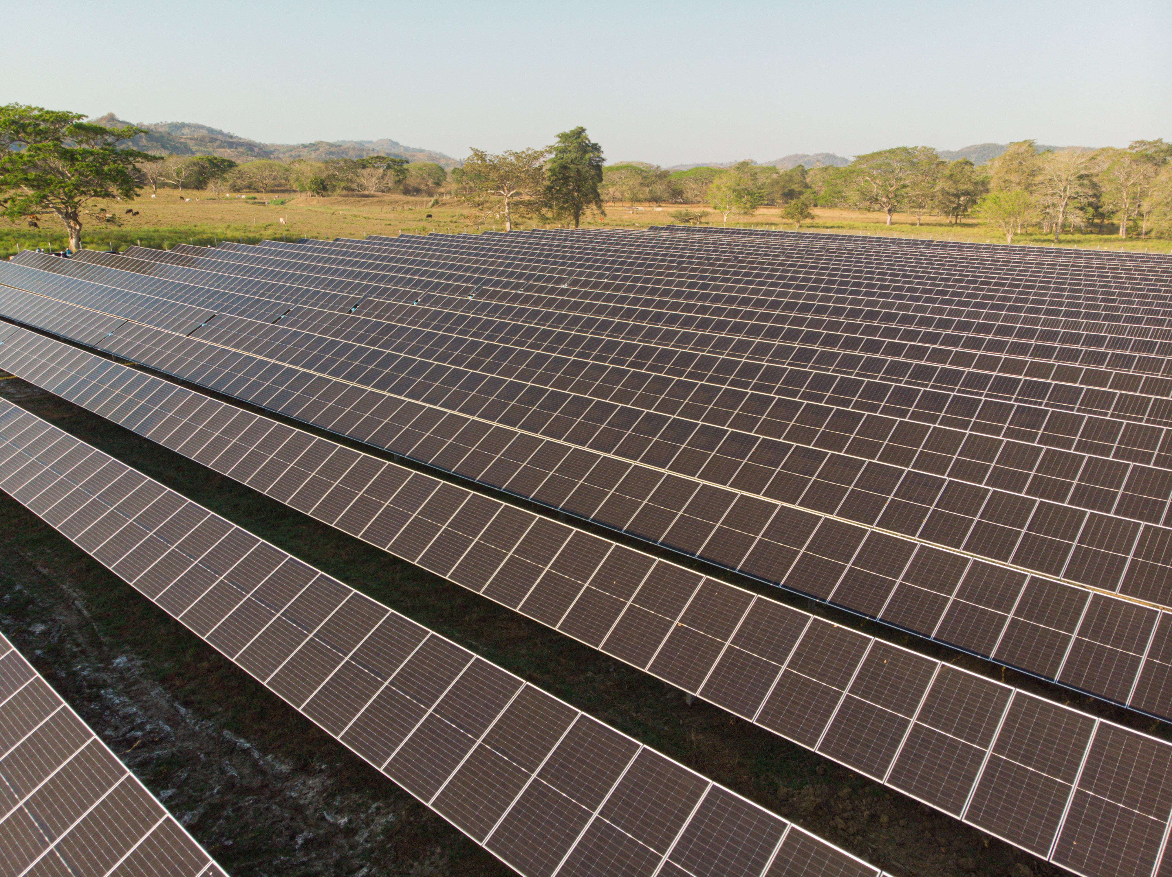 Minigranja solar